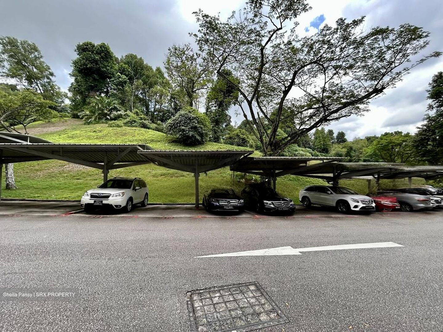 Clementi Park (D21), Condominium #473856201